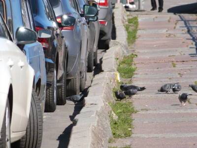 В Петербурге на проспекте Стачек был замечен автомобиль с человеком в багажнике - neva.today - Санкт-Петербург