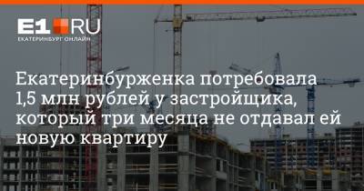 Артем Устюжанин - Екатеринбурженка потребовала 1,5 млн рублей у застройщика, который три месяца не отдавал ей новую квартиру - e1.ru - Екатеринбург