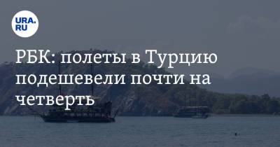РБК: полеты в Турцию подешевели почти на четверть - ura.news - Россия - Турция