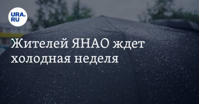 Жителей ЯНАО ждет холодная неделя - ura.news - окр. Янао