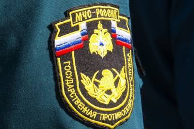 В Тульской области спасатели за неделю ликвидировали 32 пожара - tula.mk.ru - Россия - Тула - Тульская обл.