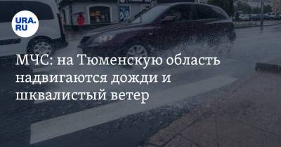 МЧС: на Тюменскую область надвигаются дожди и шквалистый ветер - ura.news - Тюменская обл.