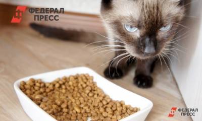 Возможен ли в России дефицит кормов для домашних животных - fedpress.ru - Москва - Россия