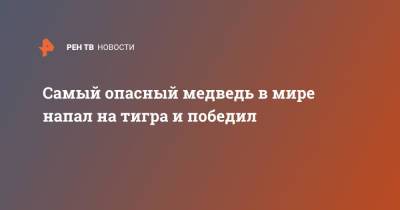 Самый опасный медведь в мире напал на тигра и победил - ren.tv - Индия - Twitter