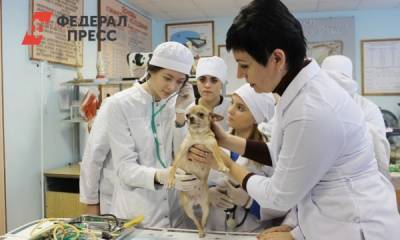 Ветеринары Красноярского края получили 14 млн на жилье - fedpress.ru - Красноярский край - Красноярск