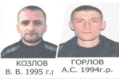 Двое рецидивистов сбежали из новосибирской колонии - tayga.info - Россия - Новосибирск - Новосибирская обл.