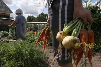 У россиян начали отбирать земельные участки - vologda-poisk.ru - Россия