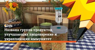 Названа группа продуктов, улучшающих пищеварение и укрепляющих иммунитет - ridus.ru - США
