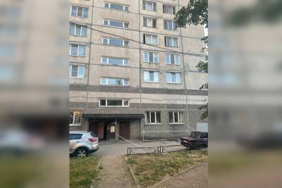 В Петербурге пятилетняя девочка погибла после падения из окна - spb.mk.ru - Санкт-Петербург