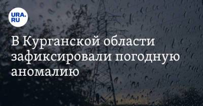 В Курганской области зафиксировали погодную аномалию - ura.news - Курганская обл.