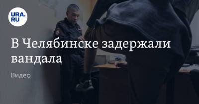 В Челябинске задержали вандала. Видео - ura.news - Россия - Челябинск - район Октябрьский