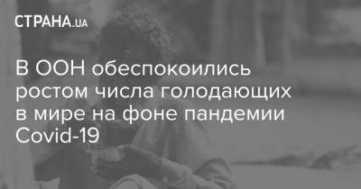 В ООН обеспокоились ростом числа голодающих в мире на фоне пандемии Covid-19 - strana.ua - Украина