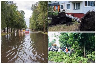 Ураган пронесся по украинскому городу, ветер снес крыши и деревья: кадры лютой стихии - politeka.net - Украина - Житомир