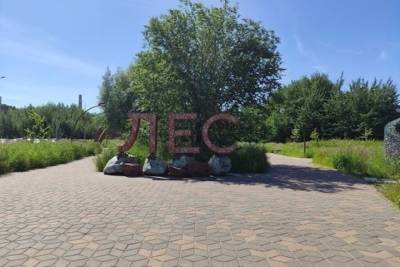 Юных казанцев приглашают стать участниками городского эколагеря - kazan.mk.ru - Казань