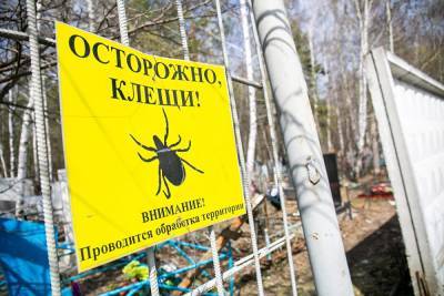 В Свердловской области в полтора раза выросло число госпитализаций после укусов клещей - znak.com - Екатеринбург - Свердловская обл.