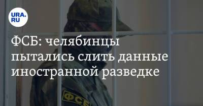 ФСБ: челябинцы пытались слить данные иностранной разведке - ura.news - Челябинская обл.