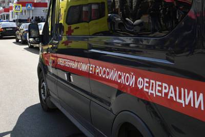 Обвиняемые в убийствах и изнасиловании российские подростки пойдут под суд - lenta.ru - Россия - Пермь - Пермский край
