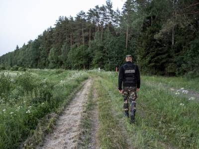 Арвидас Анушаускас - В Литве заявили, что мигранты перед проникновением на границу - получают инструктаж от белорусской стороны - unn.com.ua - Украина - Киев - Белоруссия - Литва