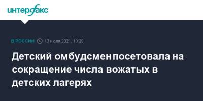 Анна Кузнецова - Детский омбудсмен посетовала на сокращение числа вожатых в детских лагерях - interfax.ru - Москва - Россия