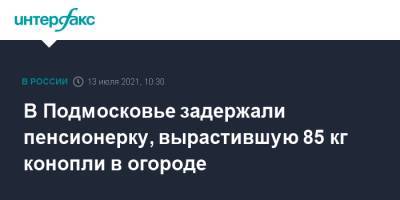 Татьяна Петрова - В Подмосковье задержали пенсионерку, вырастившую 85 кг конопли в огороде - interfax.ru - Москва - Россия - Московская обл.