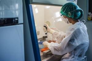 В Узбекистане разрабатываемую вакцину от коронавируса усиливают иммунным ответом - vesti.uz - Узбекистан