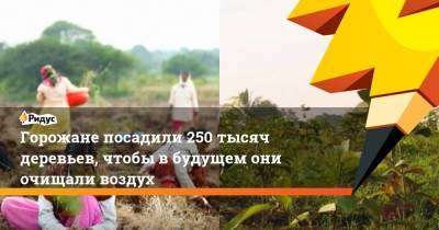 Горожане посадили 250 тысяч деревьев, чтобы в будущем они очищали воздух - ridus.ru - India - штат Уттар-Прадеш