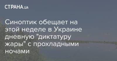 Наталья Диденко - Синоптик обещает на этой неделе в Украине дневную "диктатуру жары" с прохладными ночами - strana.ua - Украина