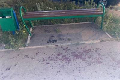 В Заречном пьяный собачник убил незнакомого мужчину - mk.ru - Россия - Пензенская обл.