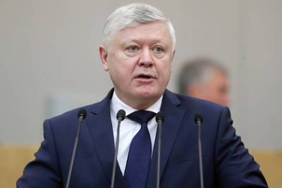 Алексей Навальный - Марья Захарова - Василий Пискарев - В Госдуме нашли в докладе ОЗХО причастность ФРГ к провокации с Навальным - lenta.ru - Россия - Германия