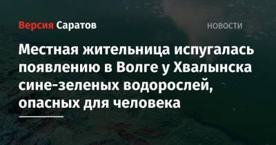 Местная жительница испугалась появлению в Волге у Хвалынска сине-зеленых водорослей, опасных для человека - nversia.ru - Хвалынск