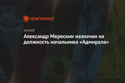 Александр Мерескин назначен на должность начальника «Адмирала» - championat.com - Москва - Сочи - Казахстан - Приморье край - Владивосток - Усть-Каменогорск
