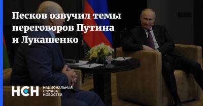 Владимир Путин - Дмитрий Песков - Александр Лукашенко - Песков озвучил темы переговоров Путина и Лукашенко - nsn.fm - Москва - Россия - Санкт-Петербург - Сочи - Белоруссия