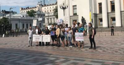 "Это сговор корпораций", — ІТ-шники под Радой устроили акцию против "Дія City" - delo.ua - Украина