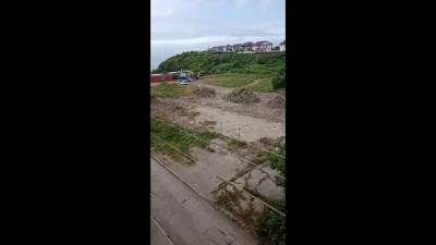 Холмчанам предложили забрать деревья с территории стройки - sakhalin.info - Холмск