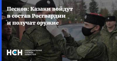 Владимир Путин - Дмитрий Песков - Юрий Чайка - Песков: Казаки войдут в состав Росгвардии и получат оружие - nsn.fm - Россия - окр. Скфо
