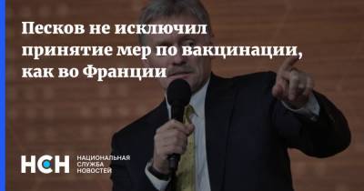Дмитрий Песков - Эмманюэль Макрон - Песков не исключил принятие мер по вакцинации, как во Франции - nsn.fm - Россия - Франция