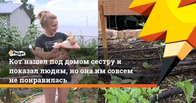 Кот нашел под домом сестру и показал людям, но она им совсем не понравилась - ridus.ru - США