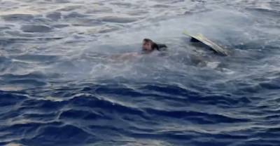 Акулы набросились на звезду "Чудаков" прямо во время съёмок, окрасив воду вокруг него в алый цвет - reendex.ru