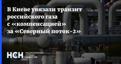 Сергей Макогон - В Киеве увязали транзит российского газа с «компенсацией» за «Северный поток-2» - nsn.fm - Украина - Киев