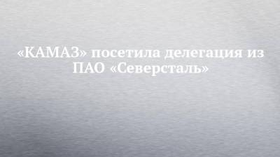 «КАМАЗ» посетила делегация из ПАО «Северсталь» - chelny-izvest.ru - Набережные Челны - Камаз