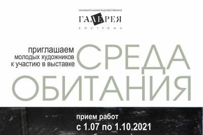 Молодым художникам Костромы предлагают занять место в «Среде обитания» - kostroma.mk.ru - Кострома