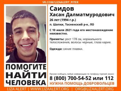 Элизабет Алерт - В Шапках без вести пропал 26-летний молодой человек - ivbg.ru - Украина - Ленобласть