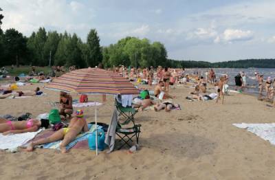 Бактерии нашли на пляжах Петрозаводска - gubdaily.ru - Петрозаводск - республика Карелия