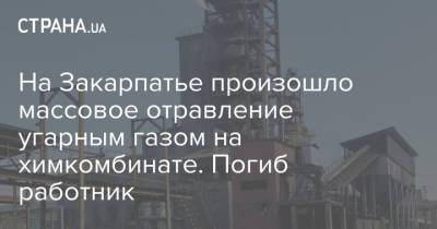 На Закарпатье произошло массовое отравление угарным газом на химкомбинате. Погиб работник - strana.ua - Украина