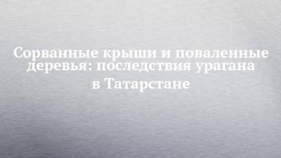 Сорванные крыши и поваленные деревья: последствия урагана в Татарстане - chelny-izvest.ru - Россия - респ. Татарстан