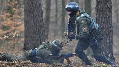В Германии объяснили, почему вступление Украины в НАТО обречено на провал - obzor.lt - Россия - Украина - Крым - Германия - Донбасс