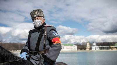На Ставрополье рассказали о помощи казачьих дружин полиции - russian.rt.com - Россия - Московская обл. - Ставрополье