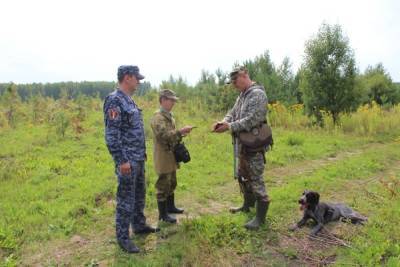 В Нижегородской области открывается сезон охоты с собаками - nn.mk.ru - Нижегородская обл.