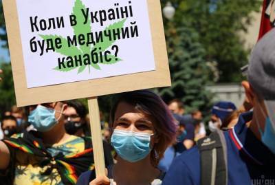 Владимир Зеленский - Коррупция против обезболивания: для потребностей больных, Украине хватит одного гектара конопли - kp.ua - Украина