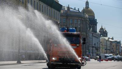Роман Вильфанд - Гидрометцентр объяснил силу петербургской жары - dp.ru - Москва